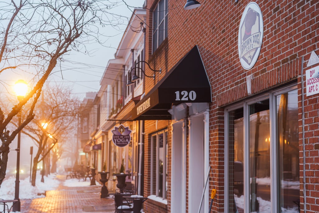 Contact Us | Brown Dog Cafe